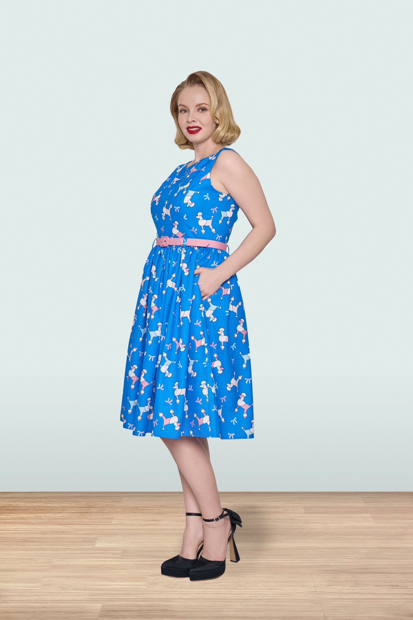 Audrey Poodle Dress