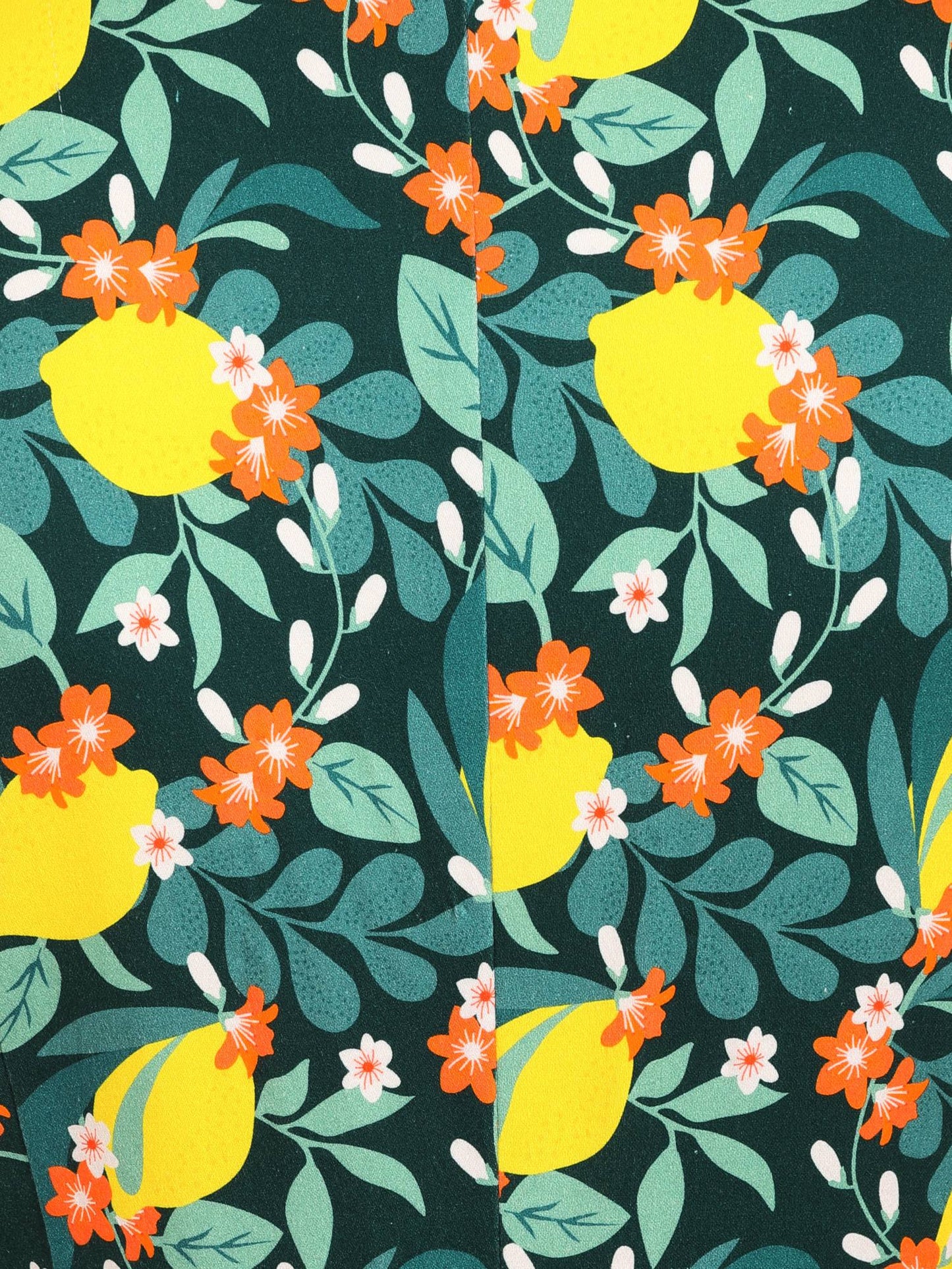 Leonie Lemon Bloom Swing Dress